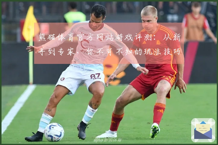 熊猫体育官方网站游戏评测：从新手到专家，你不可不知的玩法技巧与提升心得