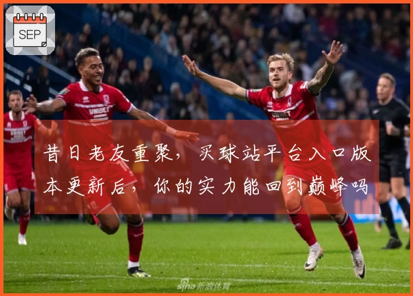 昔日老友重聚，买球站平台入口版本更新后，你的实力能回到巅峰吗？