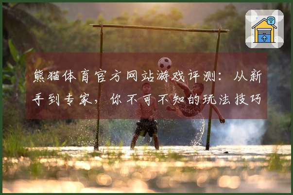 熊猫体育官方网站游戏评测：从新手到专家，你不可不知的玩法技巧与提升心得